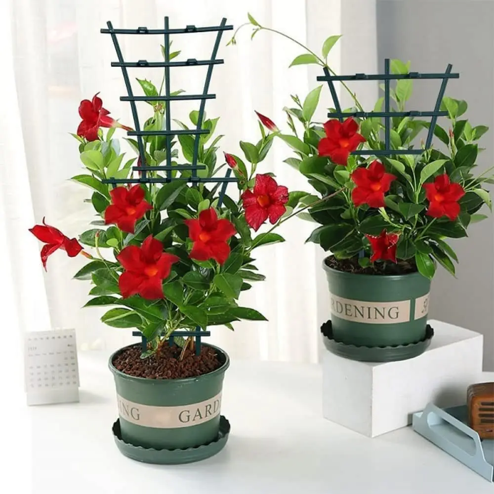 Terracotta Pot - 2/8pcs Plant Support Frame Plastic Green