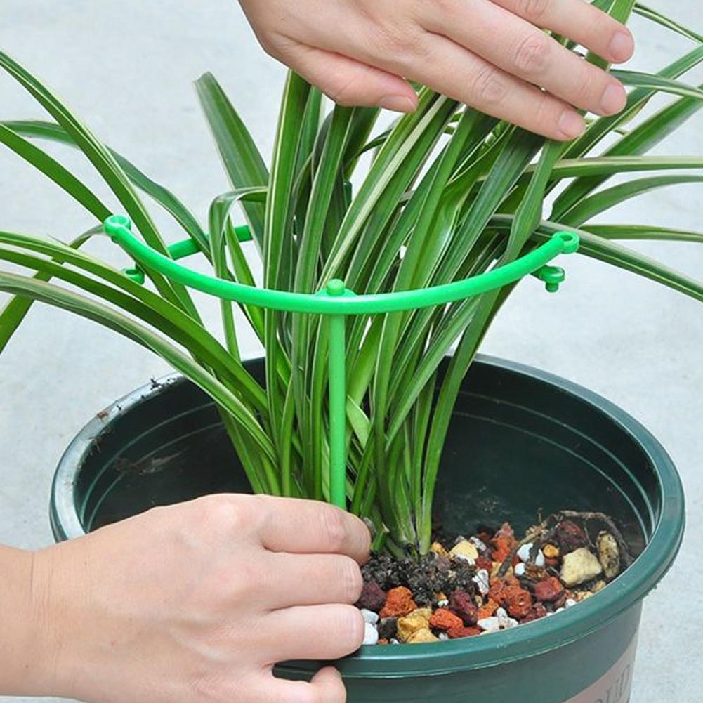 Tomato Cages Trellis Plastic C - огляд і ціна Terracotta Pot