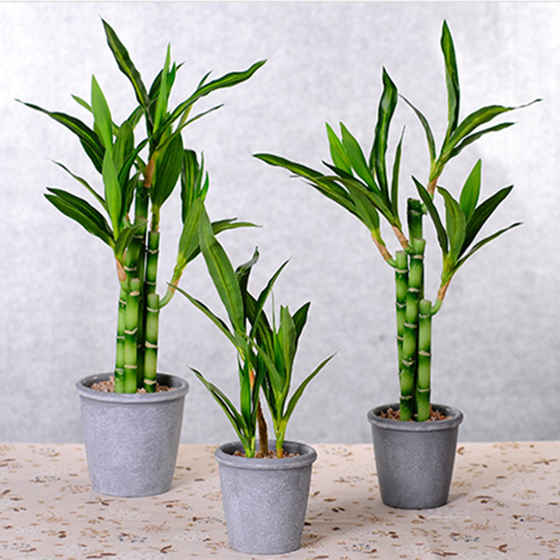 New 40cm Artificial Lucky Bamb - огляд і ціна Snake Plant