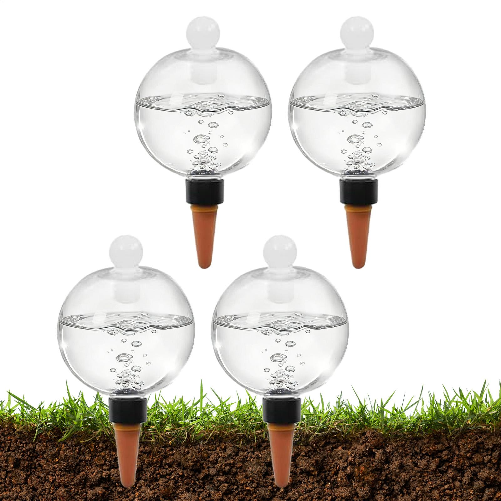 Plant Watering Bulbs 4pcs 500m - огляд і ціна Pothos