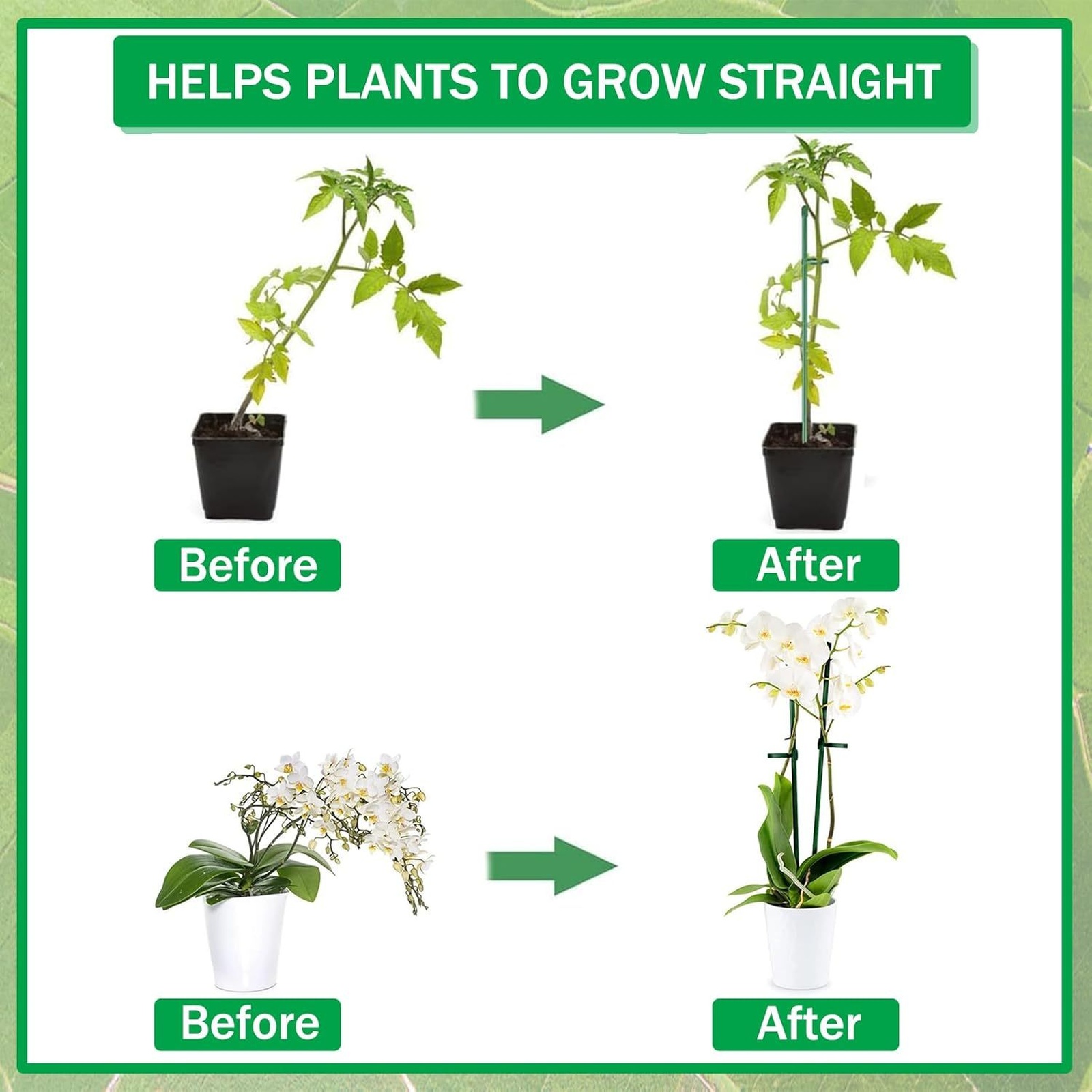 Plant Supports Rod Single Stem - огляд і ціна Terracotta Pot