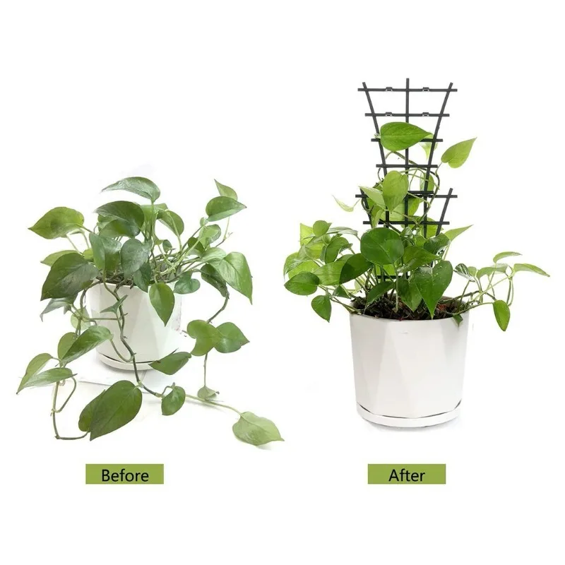 2/8pcs Plant Support Frame Pla - огляд і ціна Terracotta Pot