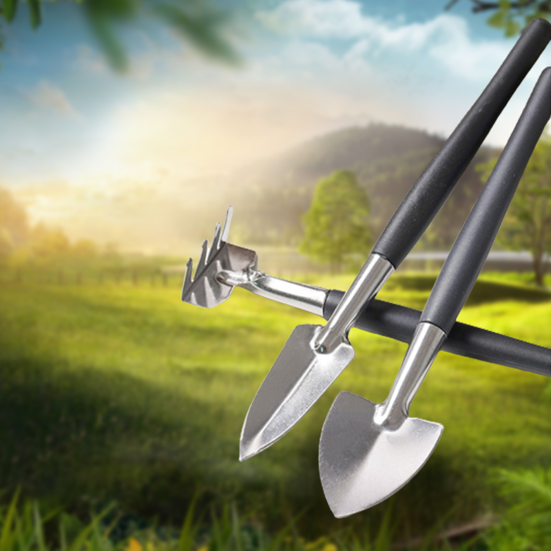 3pcs/set, Garden Tool Set Rake - огляд і ціна Succulent Set