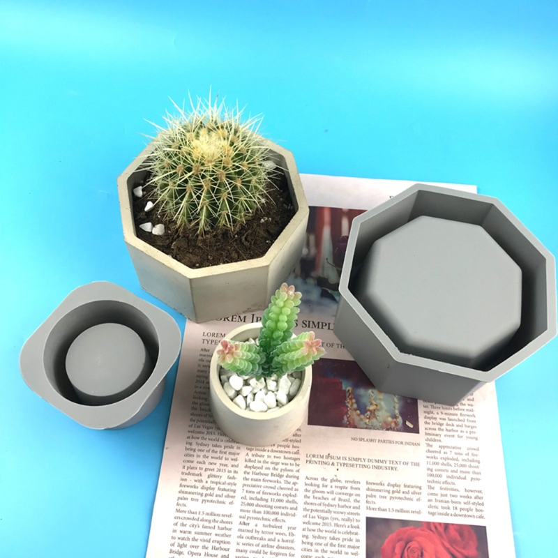 Handmade Succulent Planter Flo - огляд і ціна Succulent Set