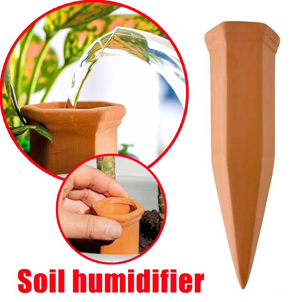 Terracotta Automatic Watering  - огляд і ціна Pothos