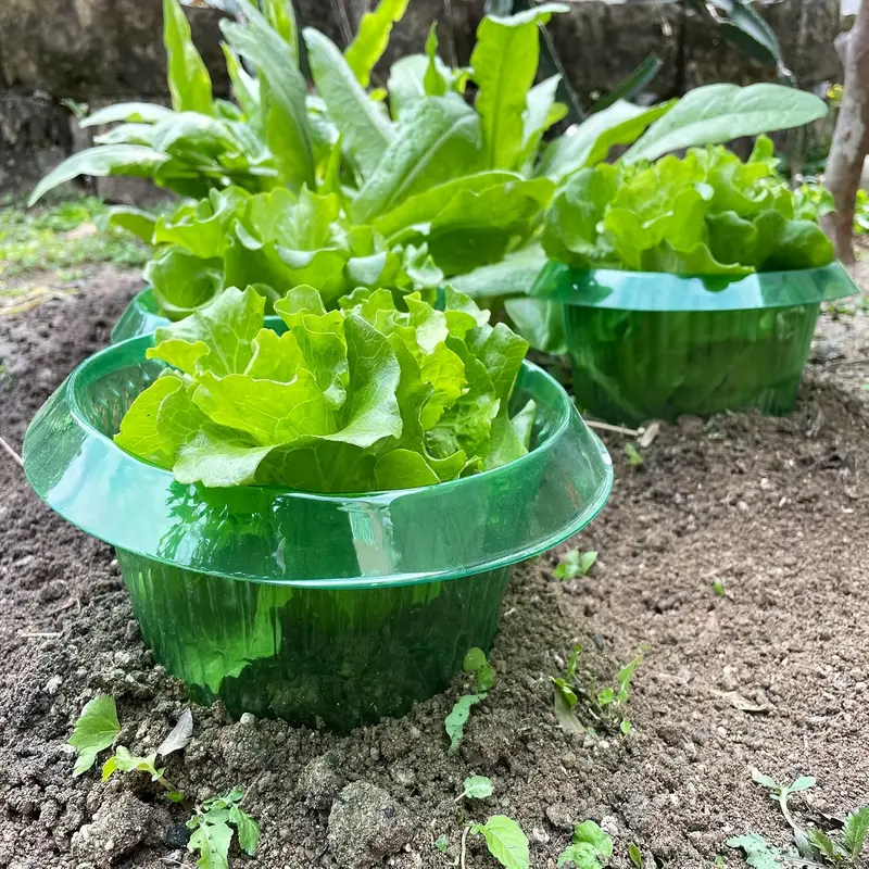 Plants Slug Protection Rings V - огляд і ціна Terracotta Pot