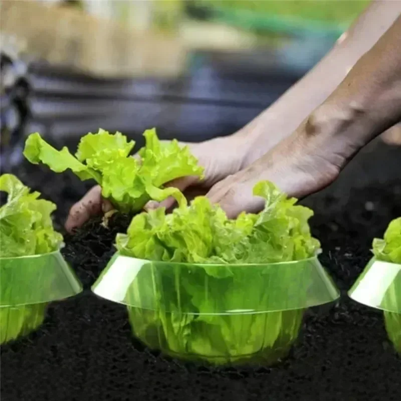 Plants Slug Protection Rings V - огляд і ціна Terracotta Pot