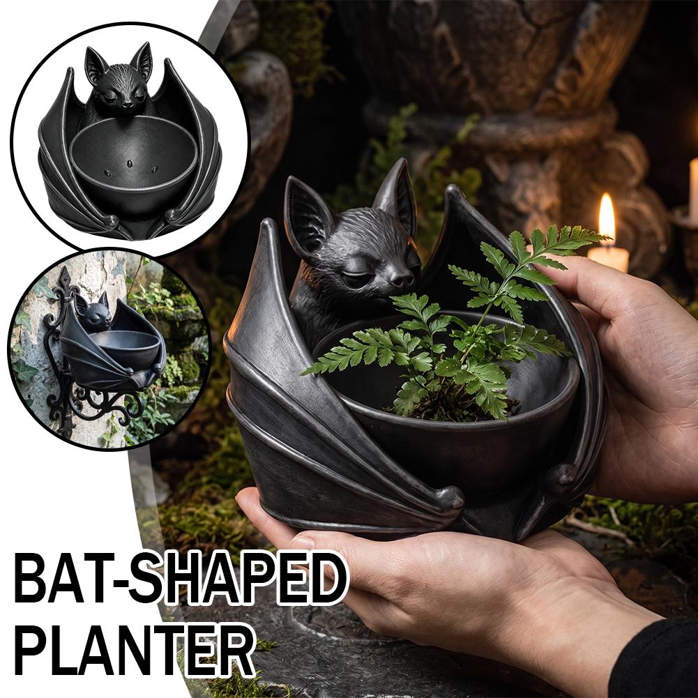 Gothic Style Bat Hanging Plant - огляд і ціна Succulent Set